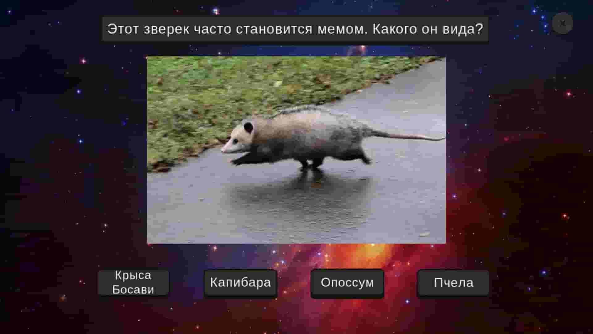 МЕМОЛОГИЯ screenshot thumbnail screenshot 5