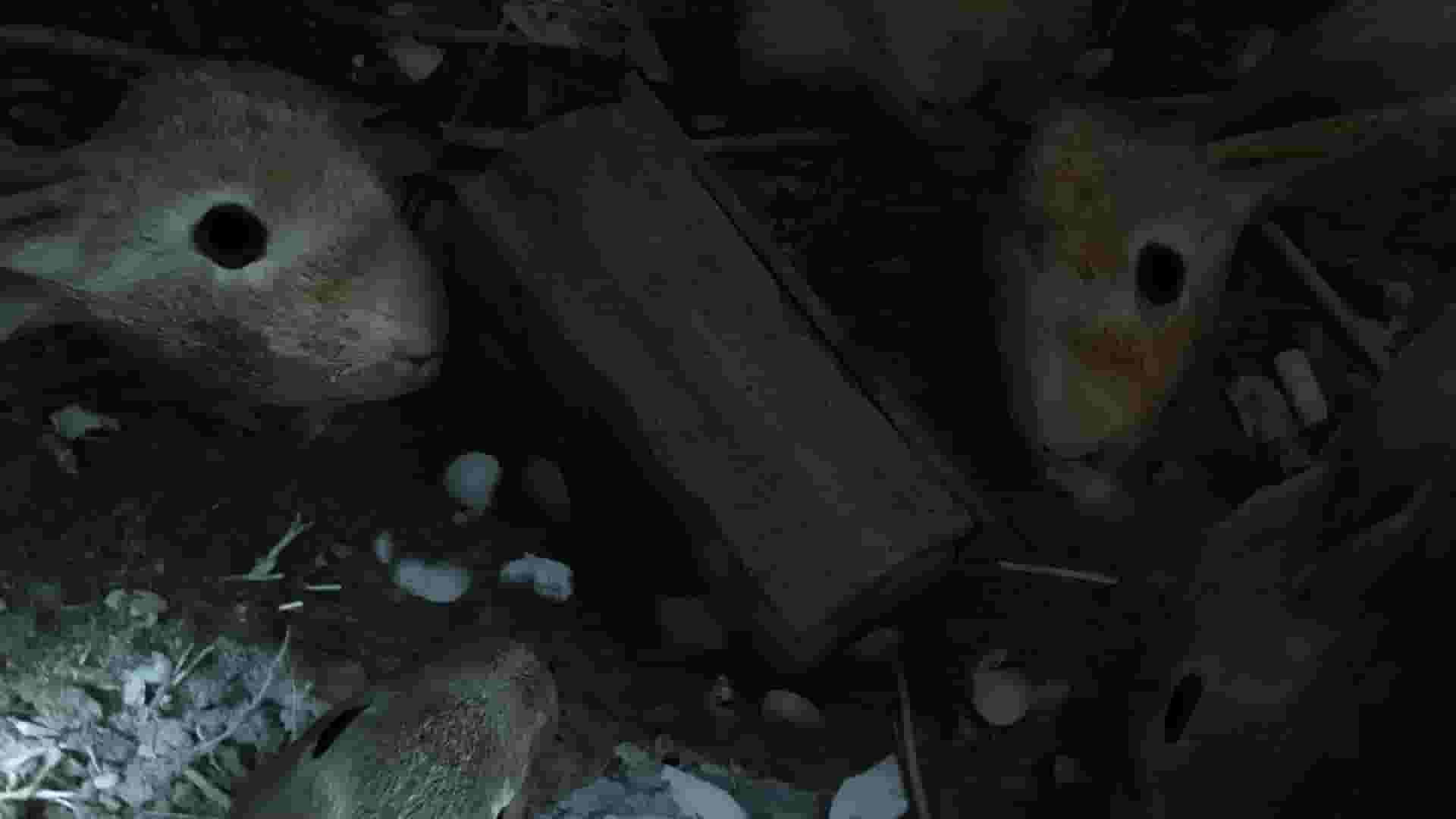 回门 Way Back Home screenshot thumbnail screenshot 4