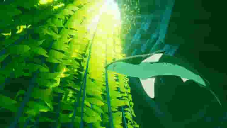 ABZÛ screenshot thumbnail screenshot 1