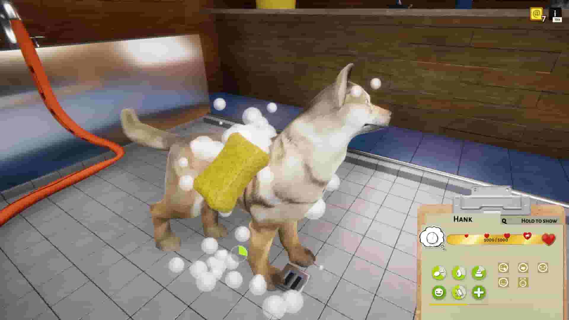 Animal Shelter screenshot thumbnail screenshot 14
