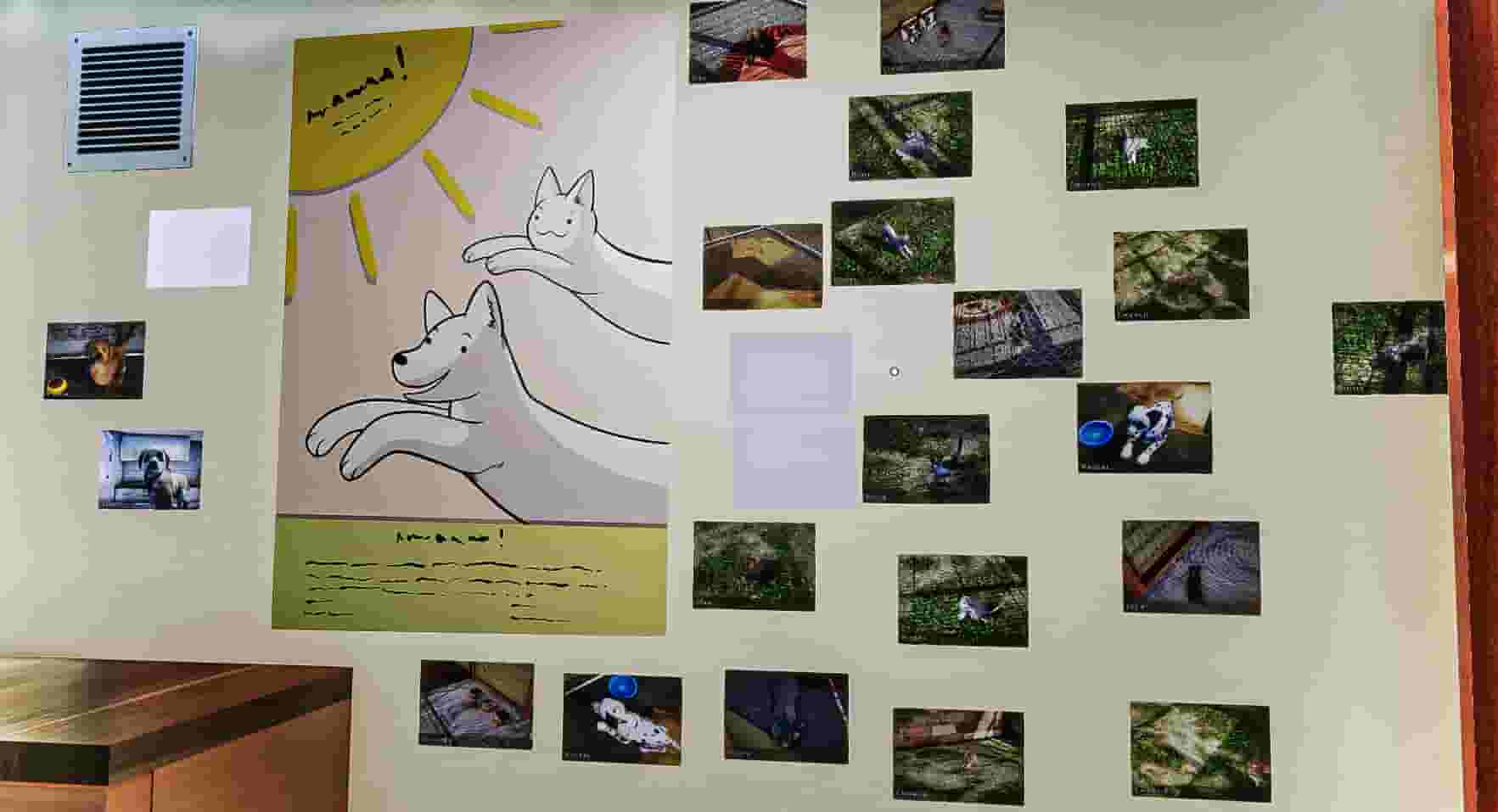 Animal Shelter screenshot thumbnail screenshot 17