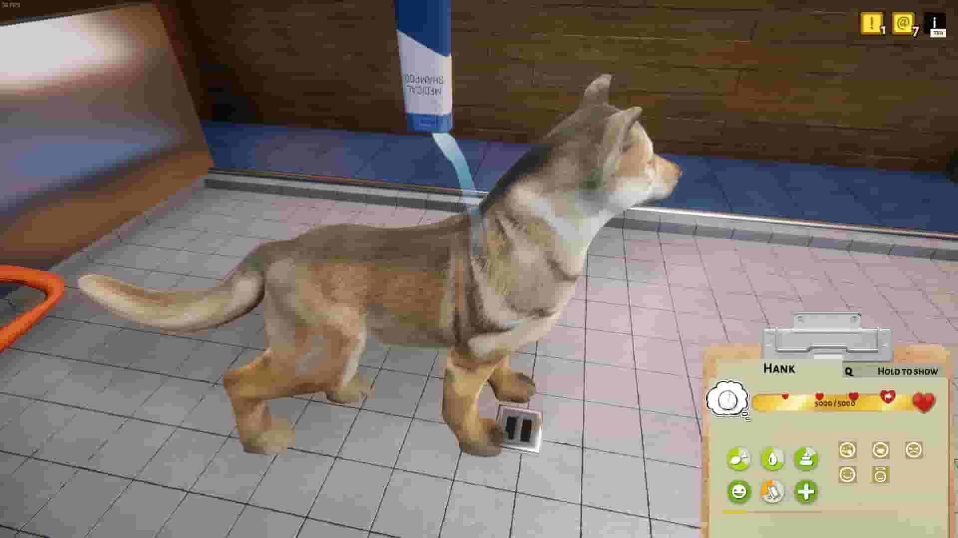 Animal Shelter screenshot thumbnail screenshot 8