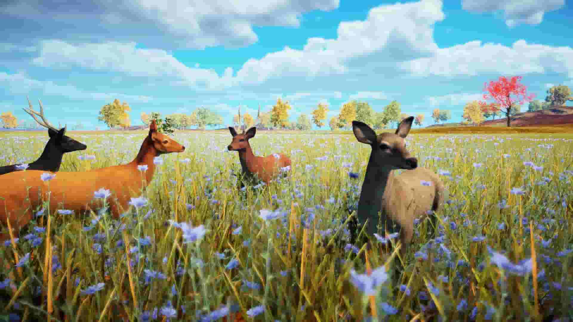 Animallica screenshot thumbnail screenshot 10