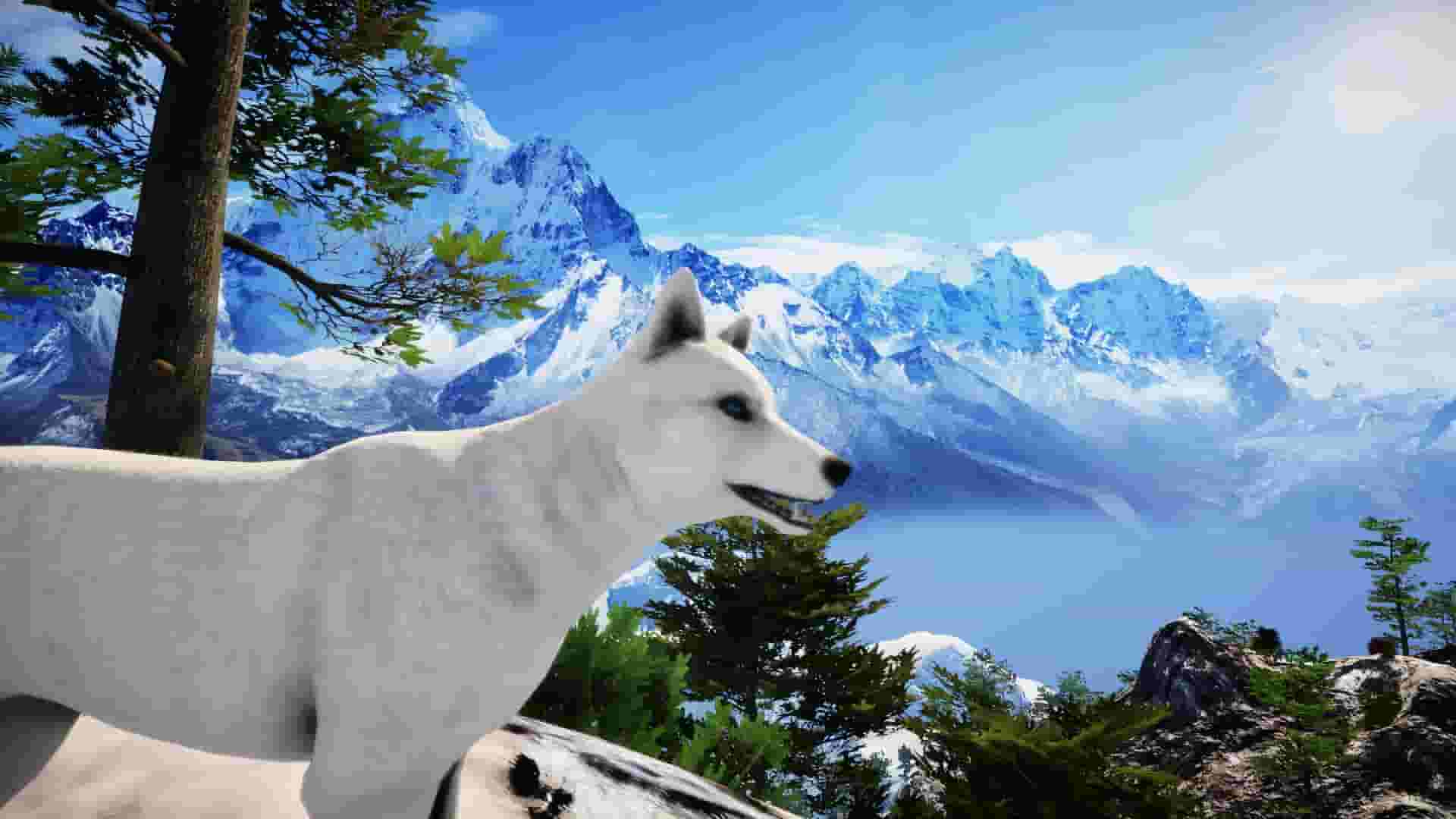 Animallica screenshot thumbnail screenshot 13