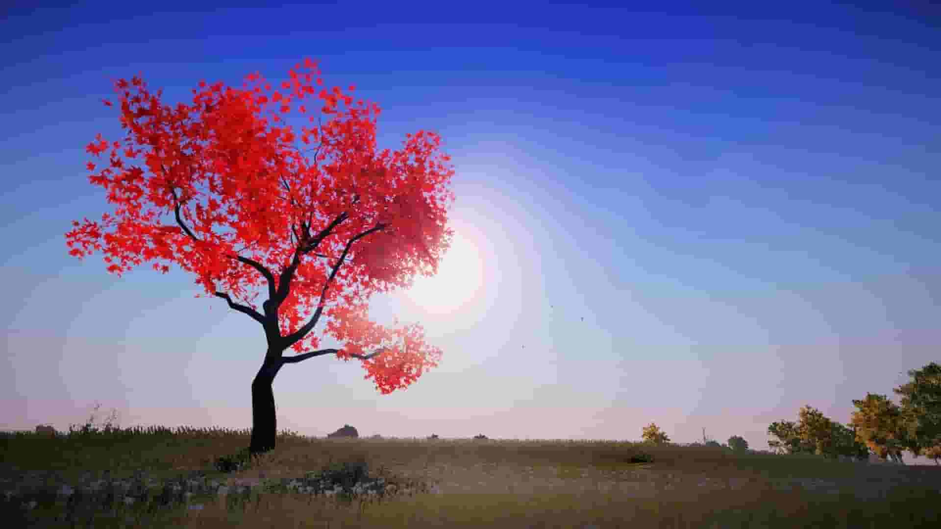 Animallica screenshot thumbnail screenshot 16