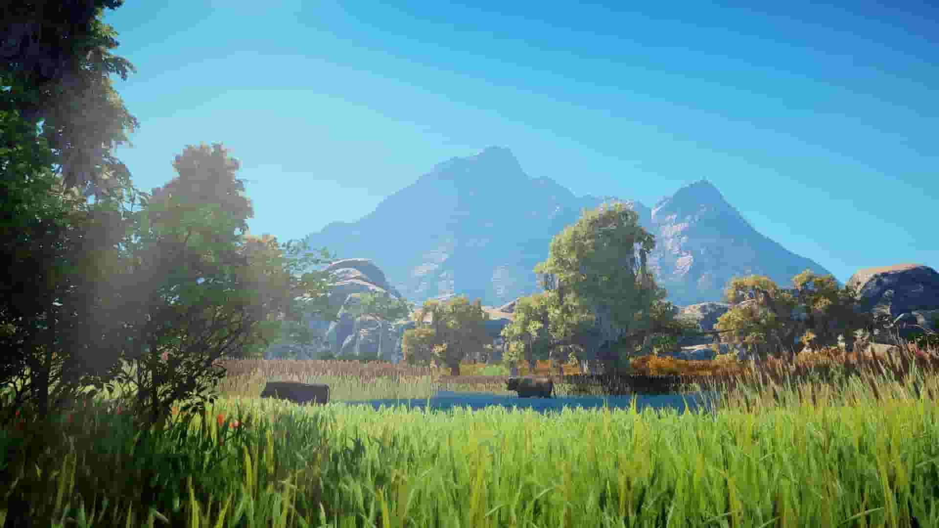 Animallica screenshot thumbnail screenshot 23