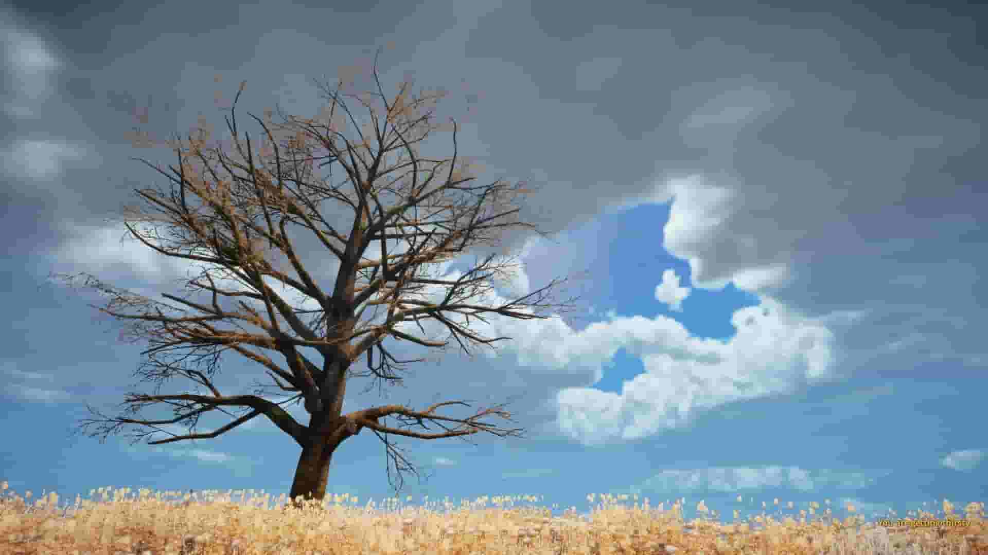 Animallica screenshot thumbnail screenshot 57