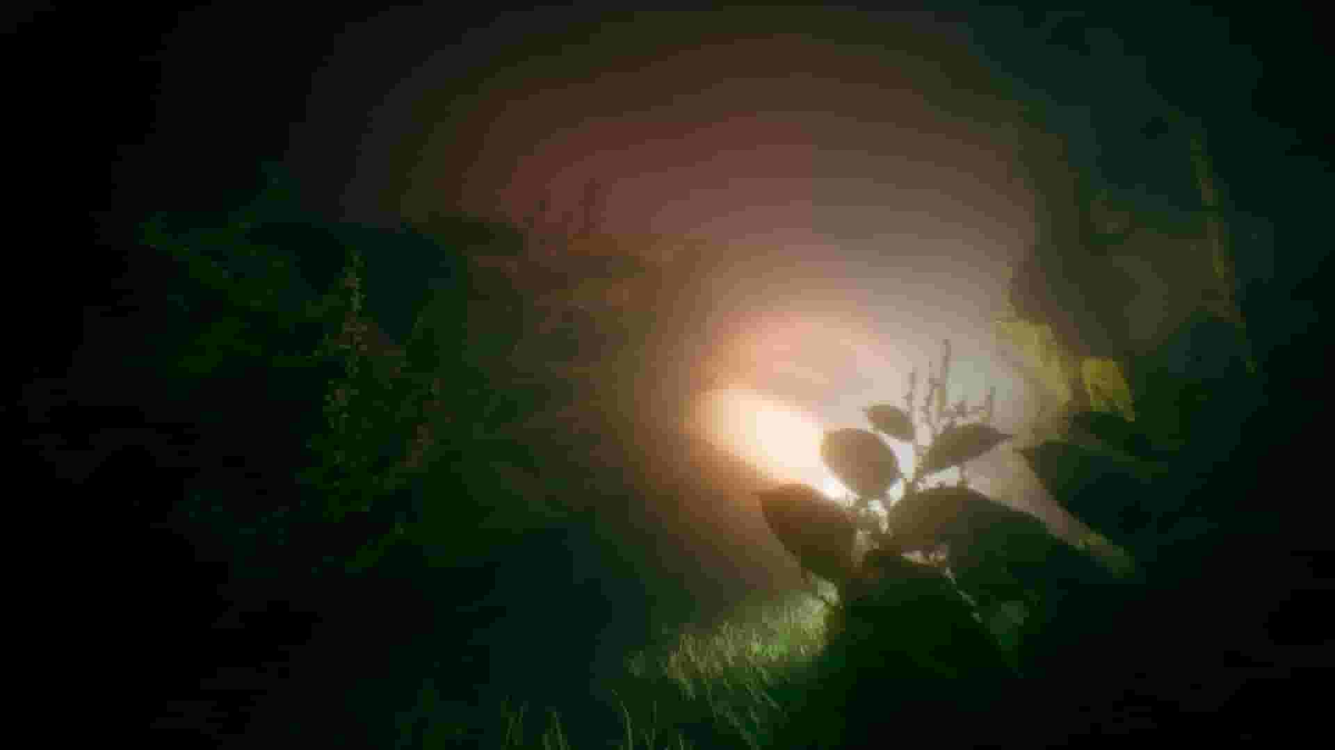 Benign Land screenshot thumbnail screenshot 2