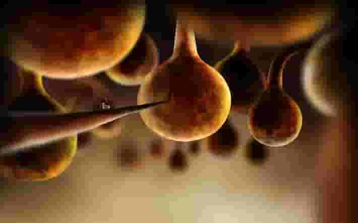 Botanicula screenshot thumbnail screenshot 2