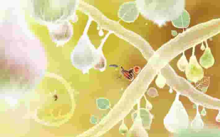 Botanicula screenshot thumbnail screenshot 8