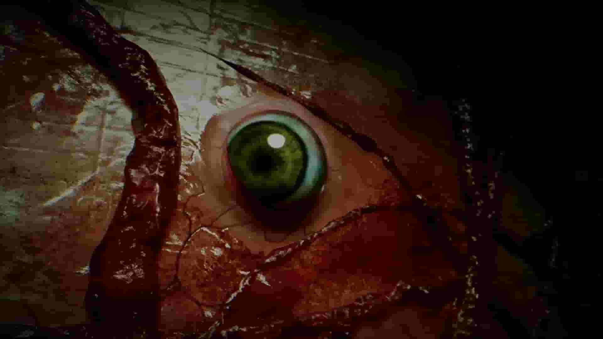 BrokenLore: DON'T WATCH screenshot thumbnail screenshot 10