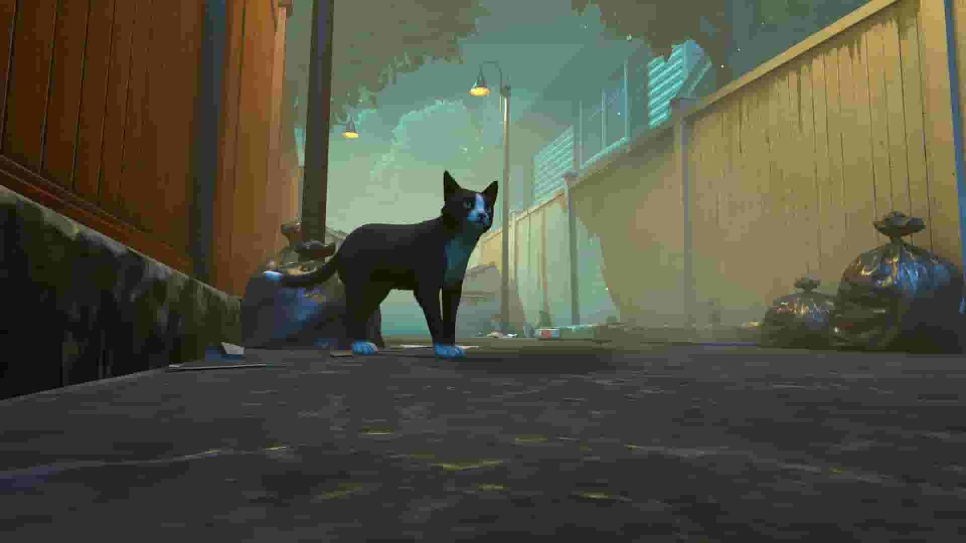 Copycat screenshot thumbnail screenshot 0