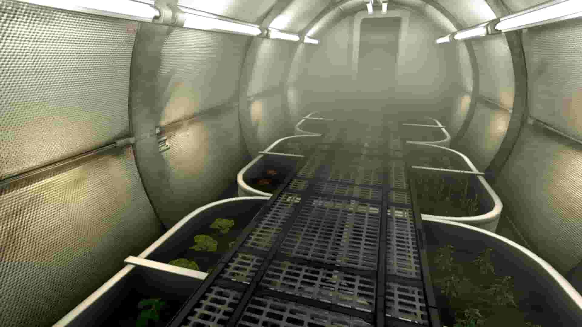 Corpse of Discovery screenshot thumbnail screenshot 1