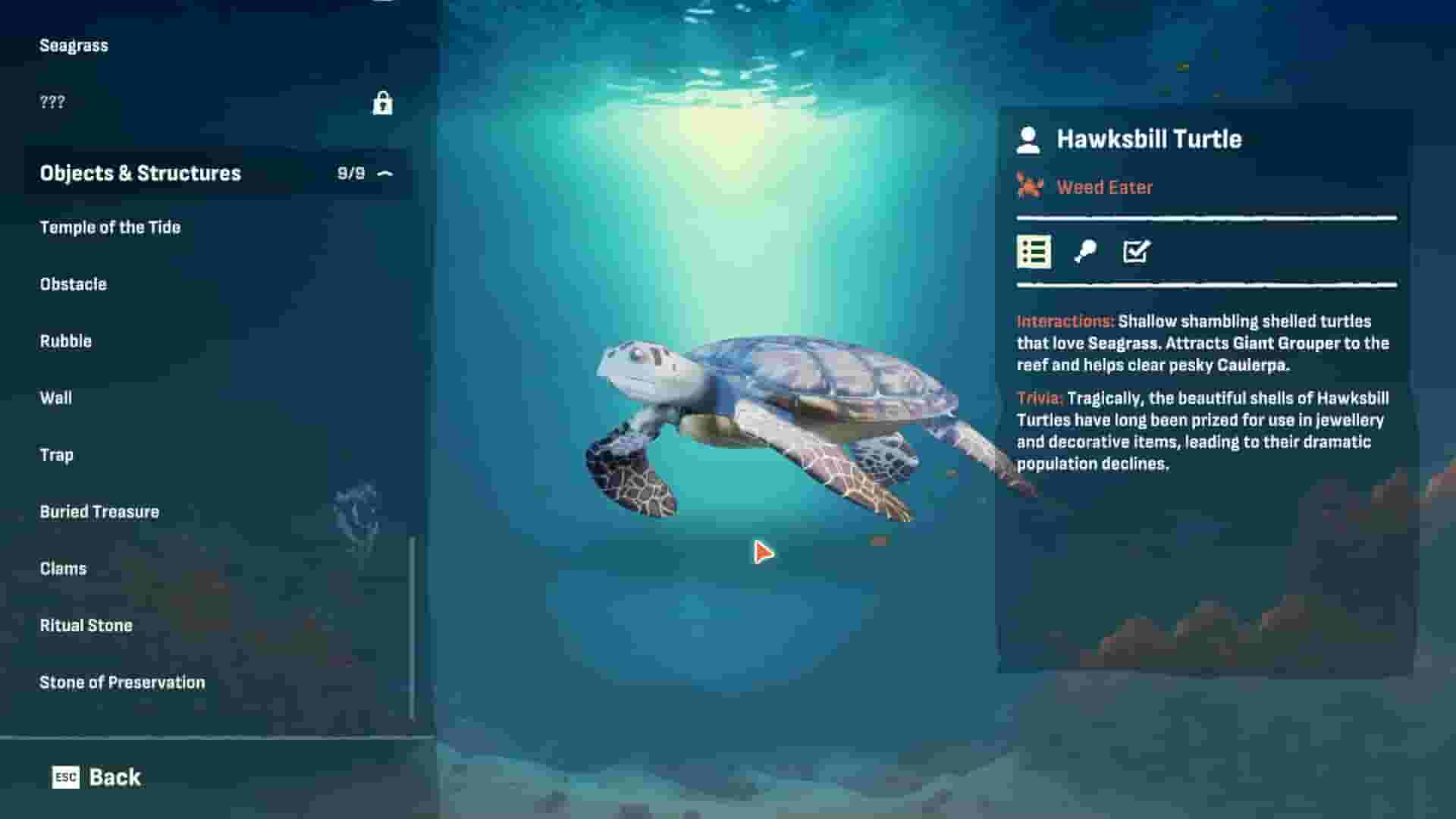 Crab God screenshot thumbnail screenshot 5