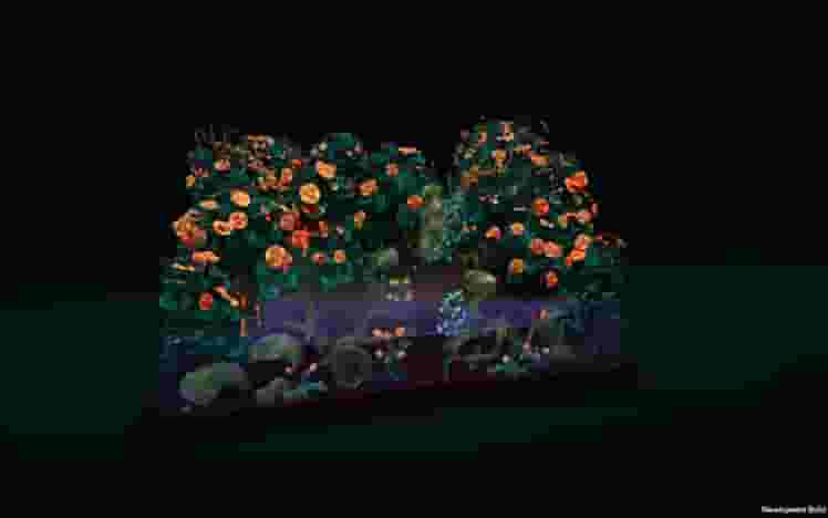 Creatura screenshot thumbnail screenshot 3