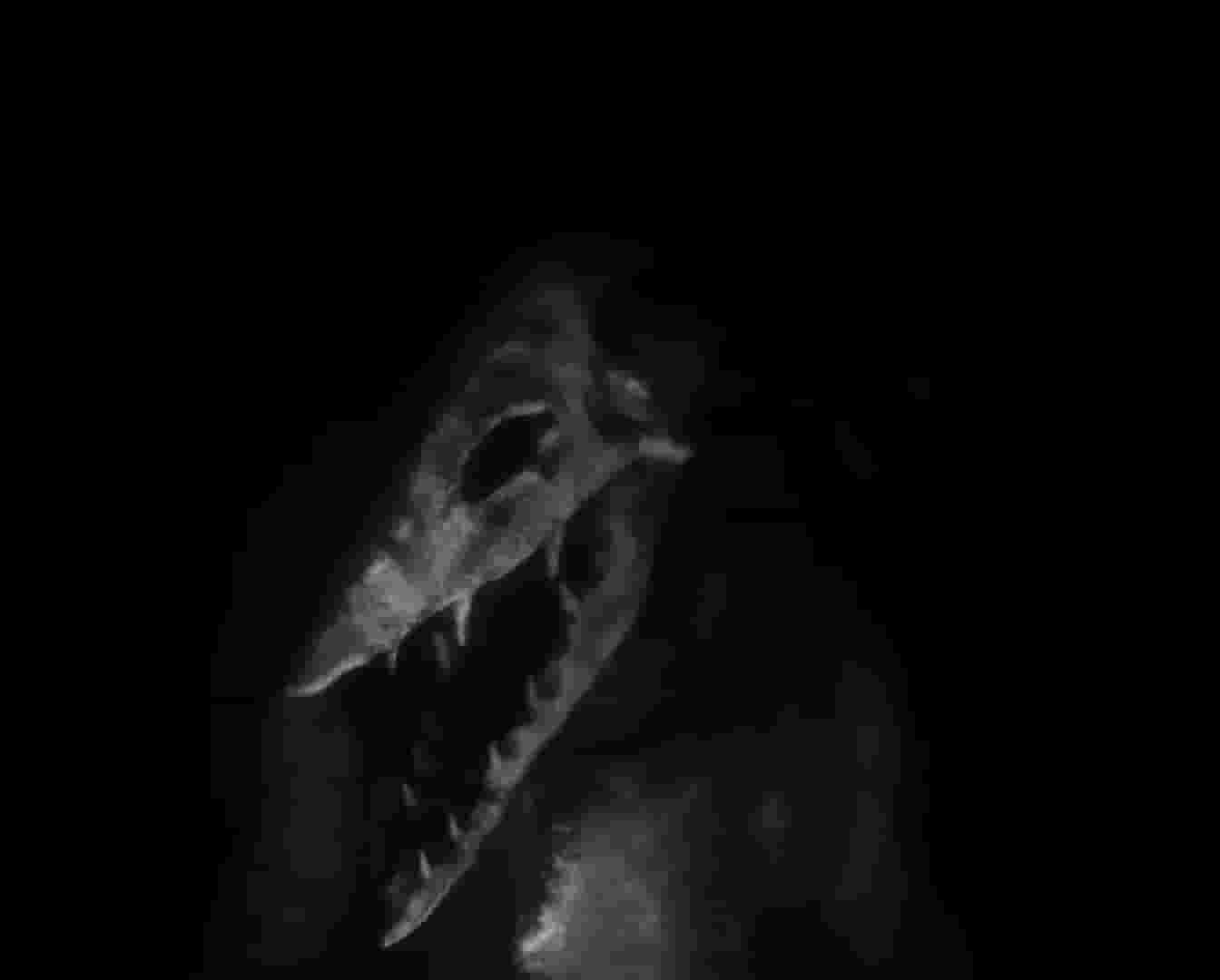 Daemonologie screenshot thumbnail screenshot 5