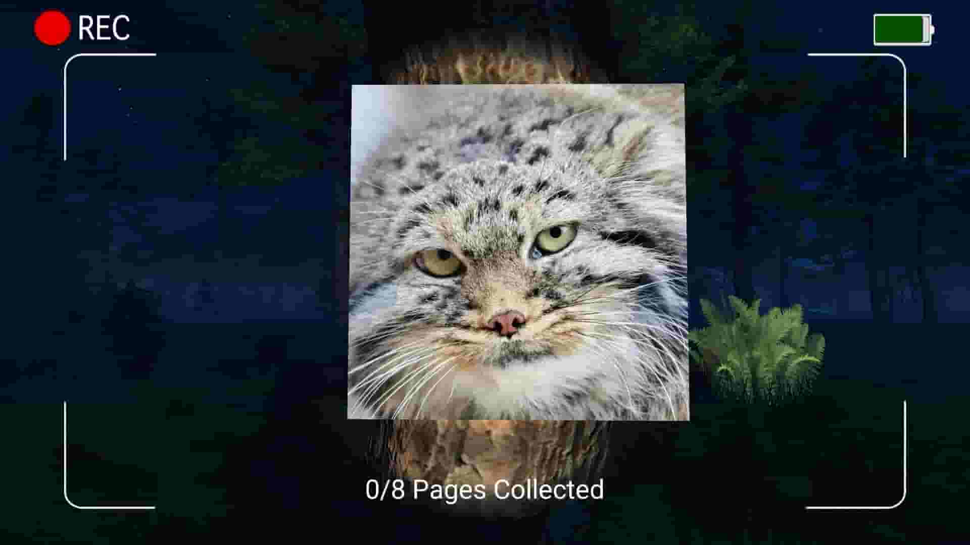 DARK NIGHT WITH FLOPPA screenshot thumbnail screenshot 2