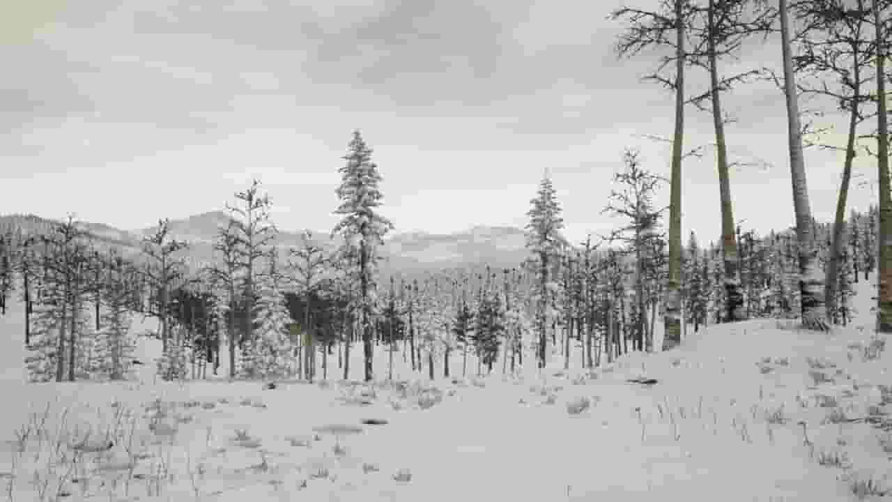 Erzurum screenshot thumbnail screenshot 0