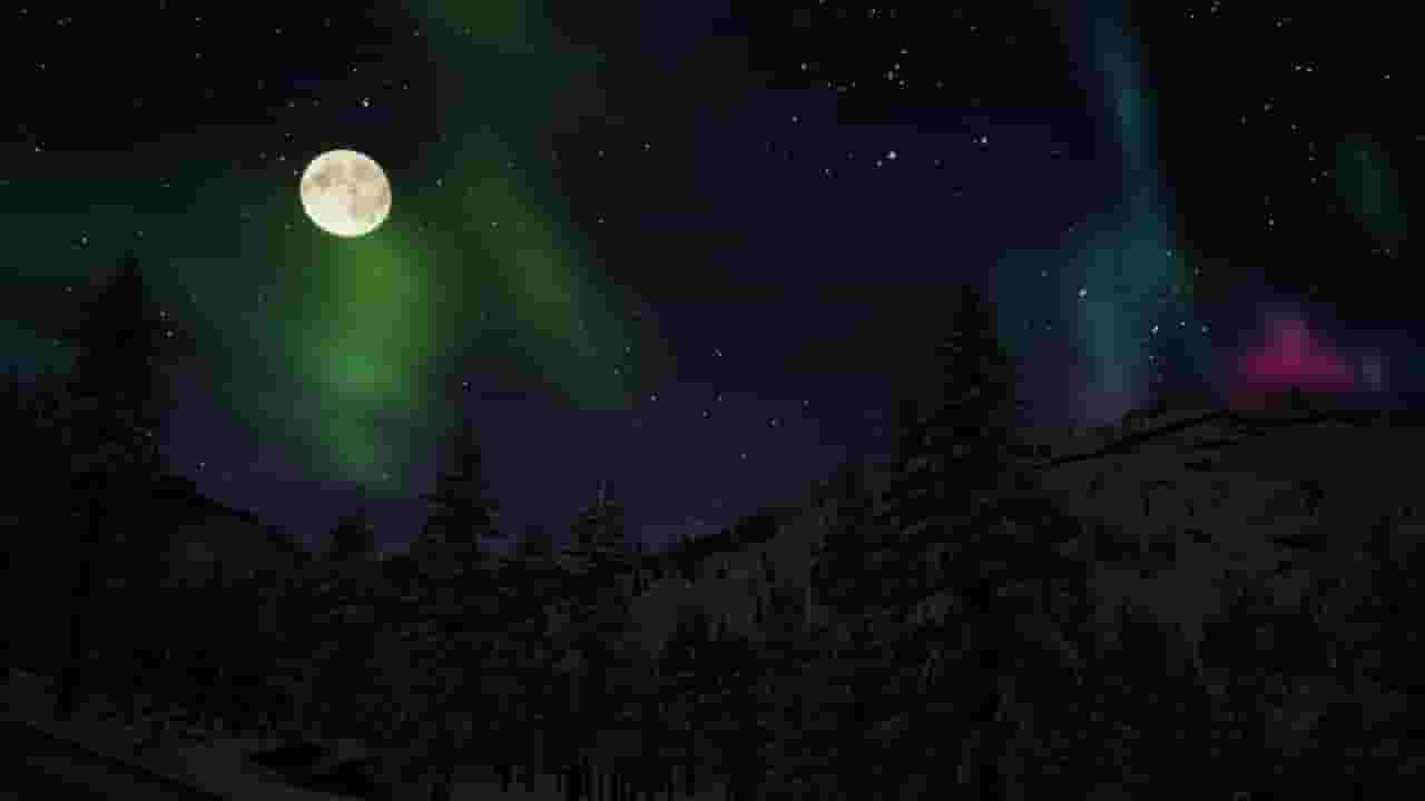 Erzurum screenshot thumbnail screenshot 3