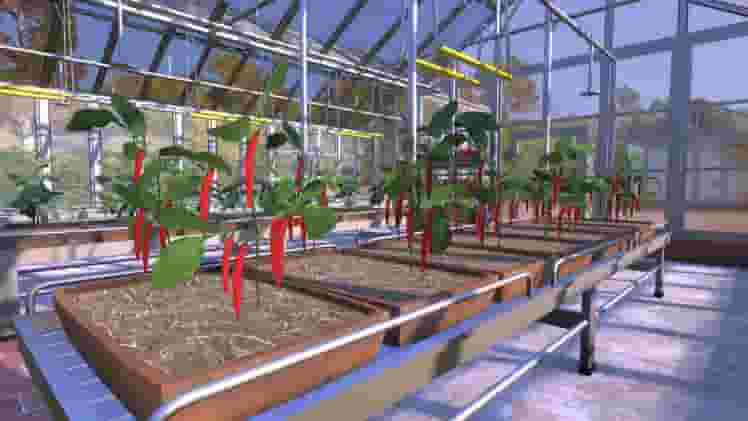 Farmer's Dynasty screenshot thumbnail screenshot 14