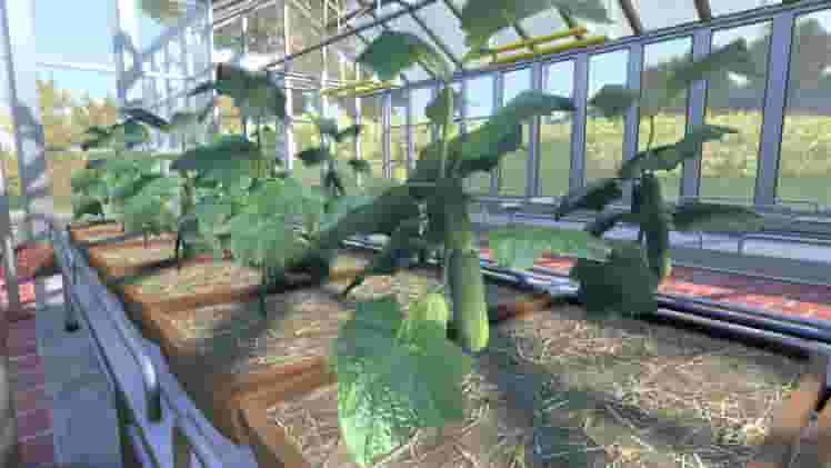 Farmer's Dynasty screenshot thumbnail screenshot 3