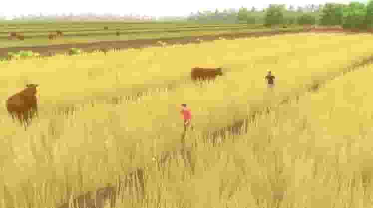 Forgotten Fields screenshot thumbnail screenshot 9