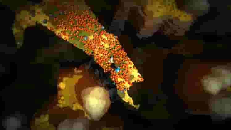 Future Unfolding screenshot thumbnail screenshot 7