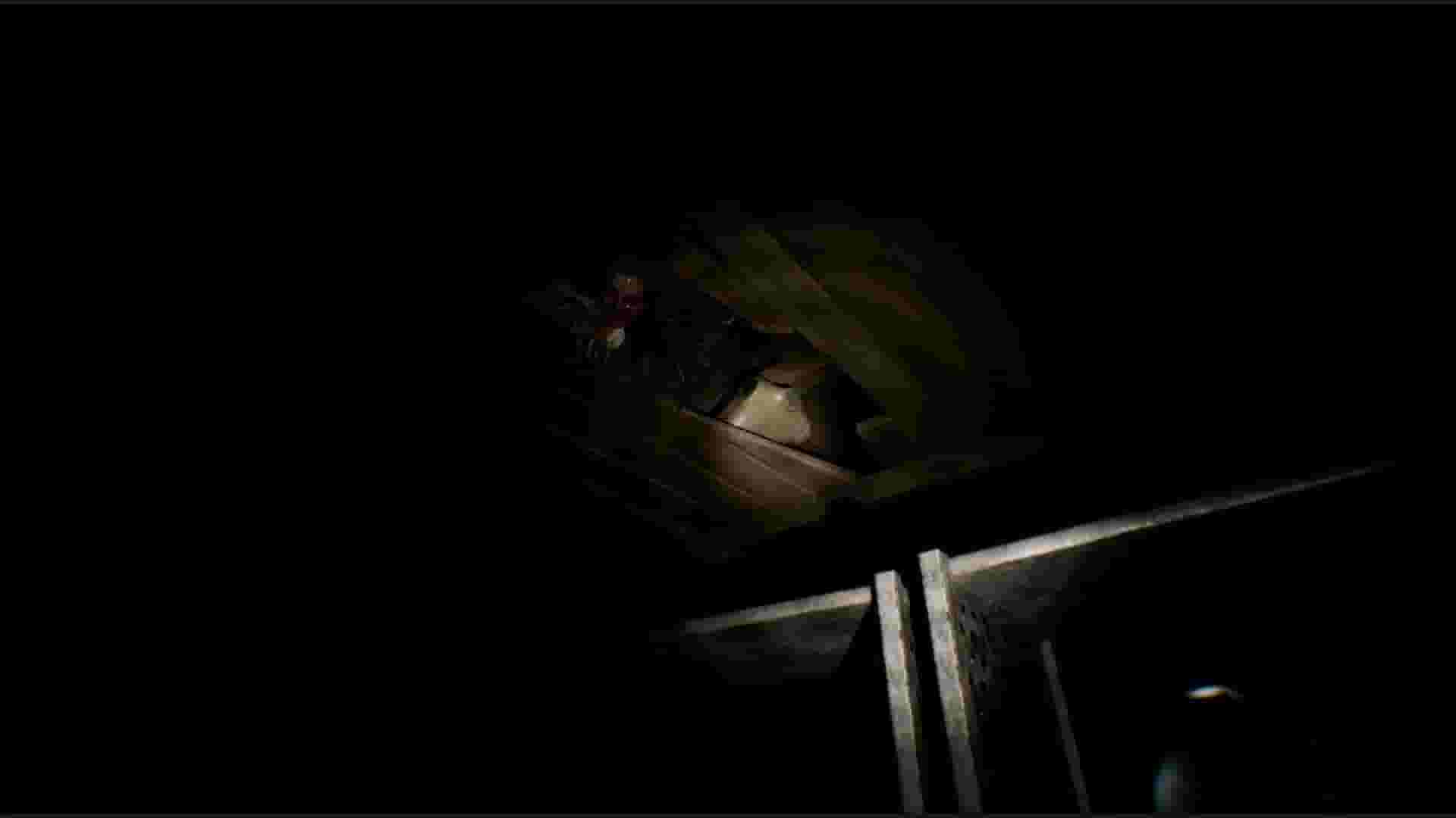 House of Lost Souls screenshot thumbnail screenshot 5