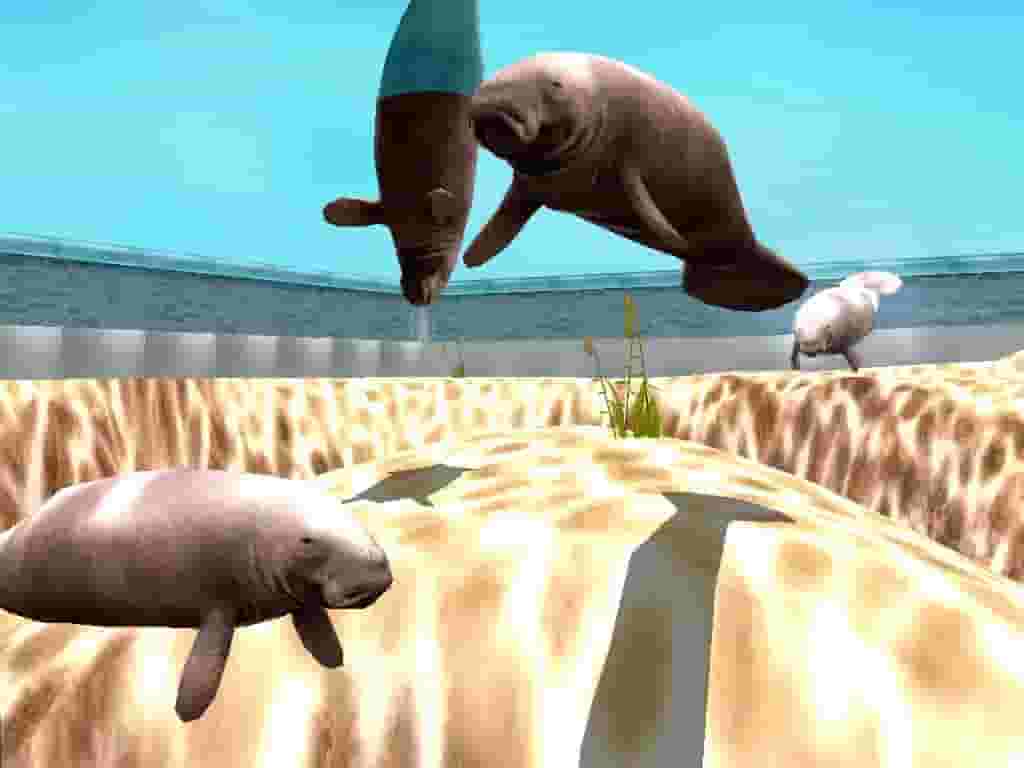 Marine Park Empire screenshot thumbnail screenshot 5