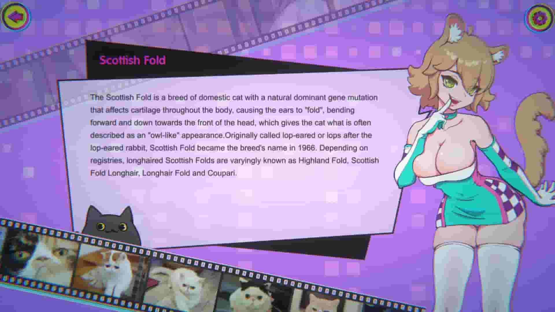 Miss Neko 3 screenshot thumbnail screenshot 2