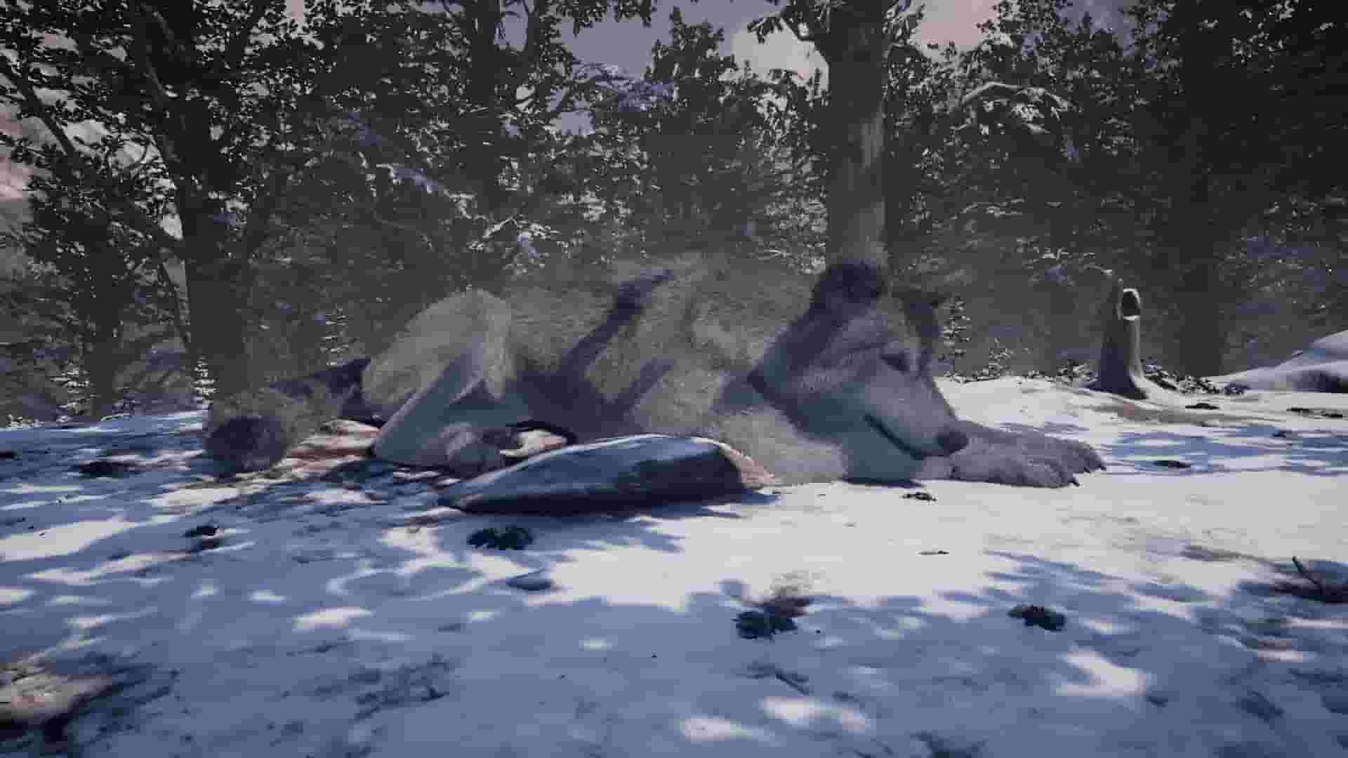 Nephise screenshot thumbnail screenshot 3