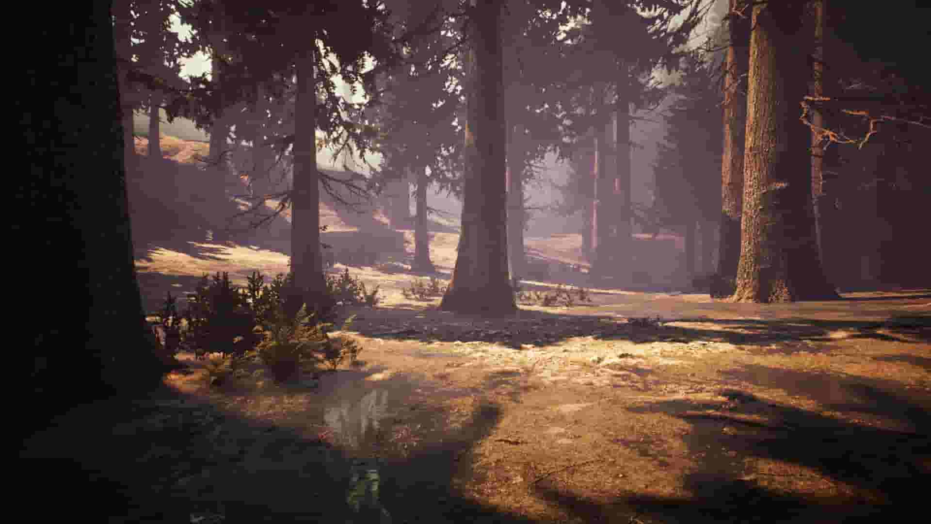 Nephise Begins screenshot thumbnail screenshot 12