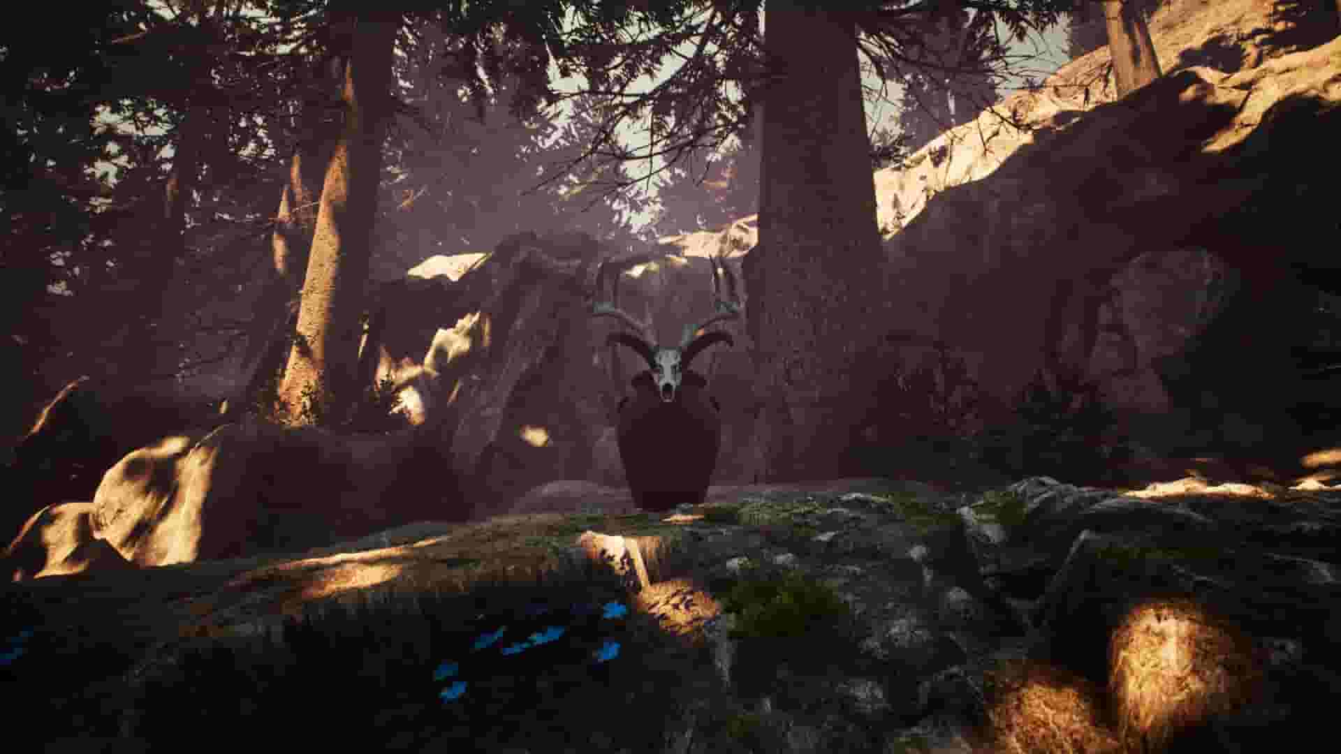 Nephise Begins screenshot thumbnail screenshot 9