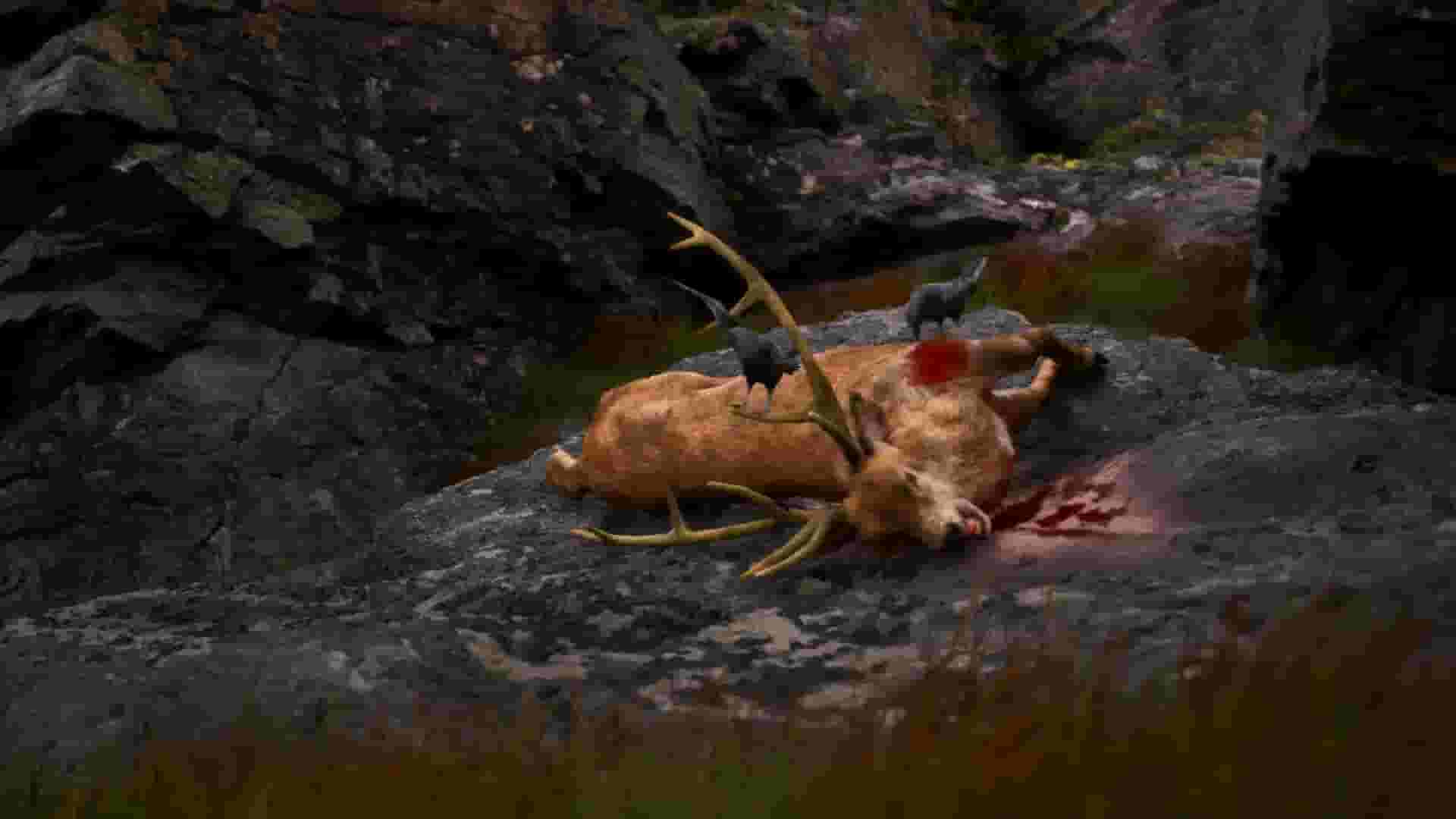 Once Alive screenshot thumbnail screenshot 9