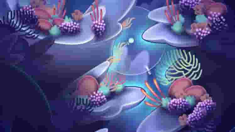 Onde screenshot thumbnail screenshot 7