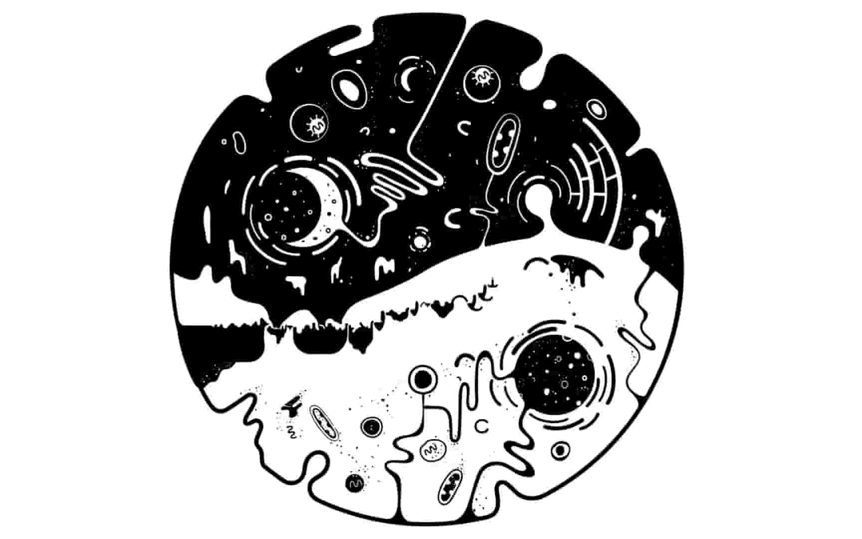 OVIVO screenshot thumbnail screenshot 1