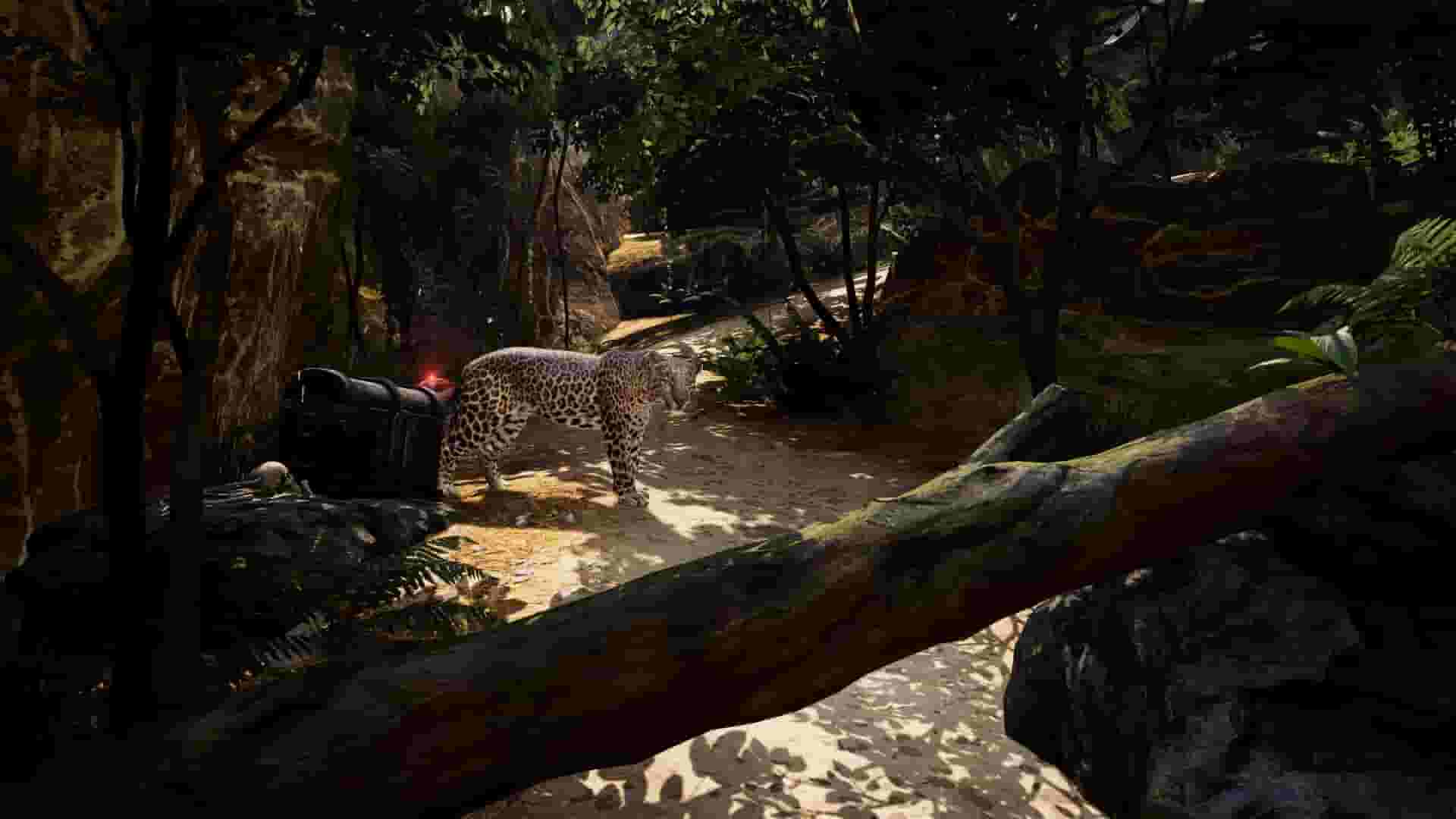 Pirates VR: Jolly Roger screenshot thumbnail screenshot 6