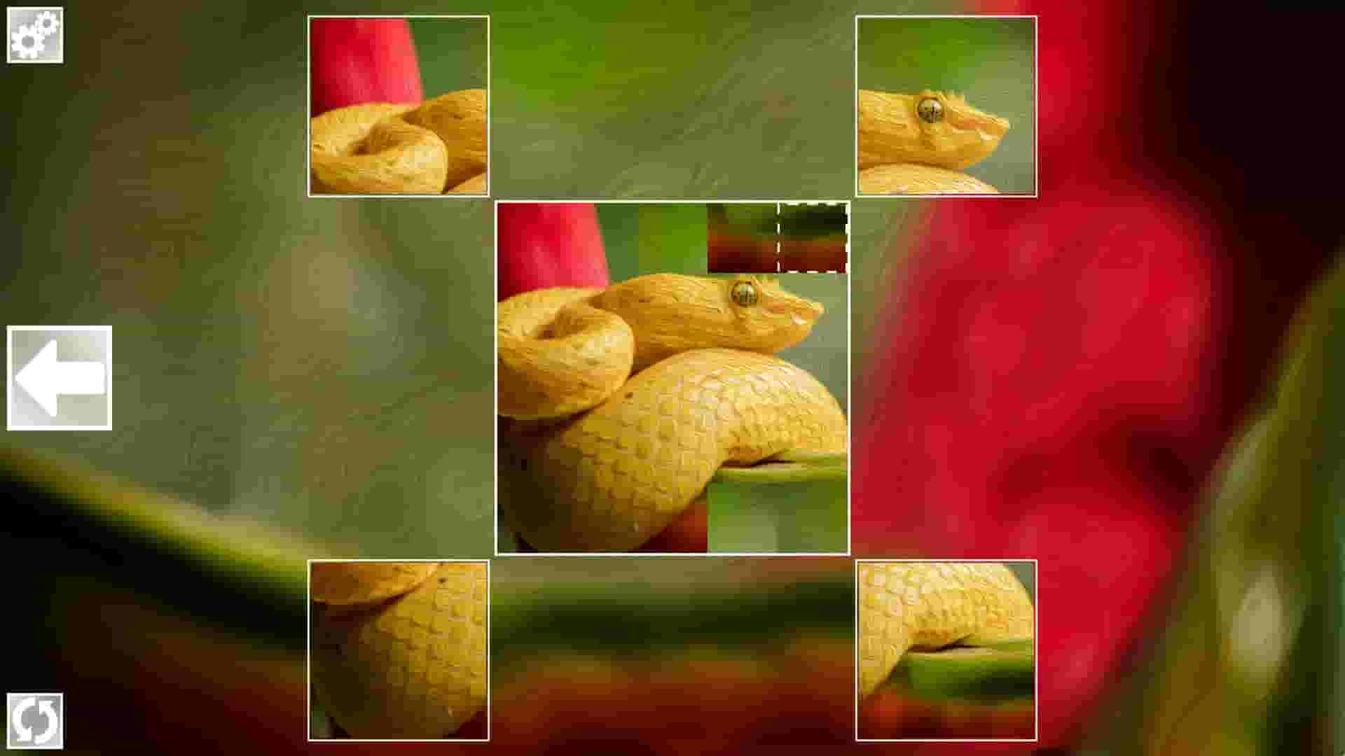 Puzzle Art: Snakes screenshot thumbnail screenshot 1