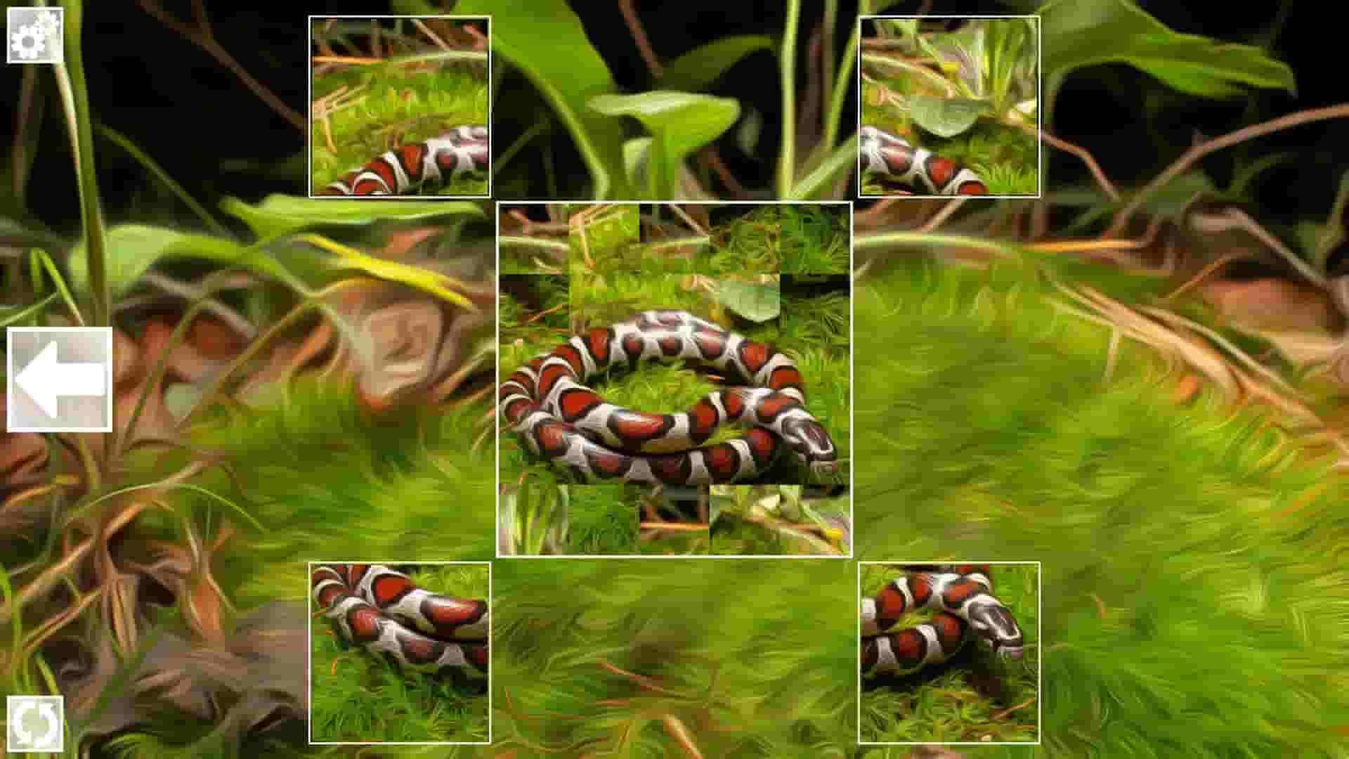 Puzzle Art: Snakes screenshot thumbnail screenshot 4