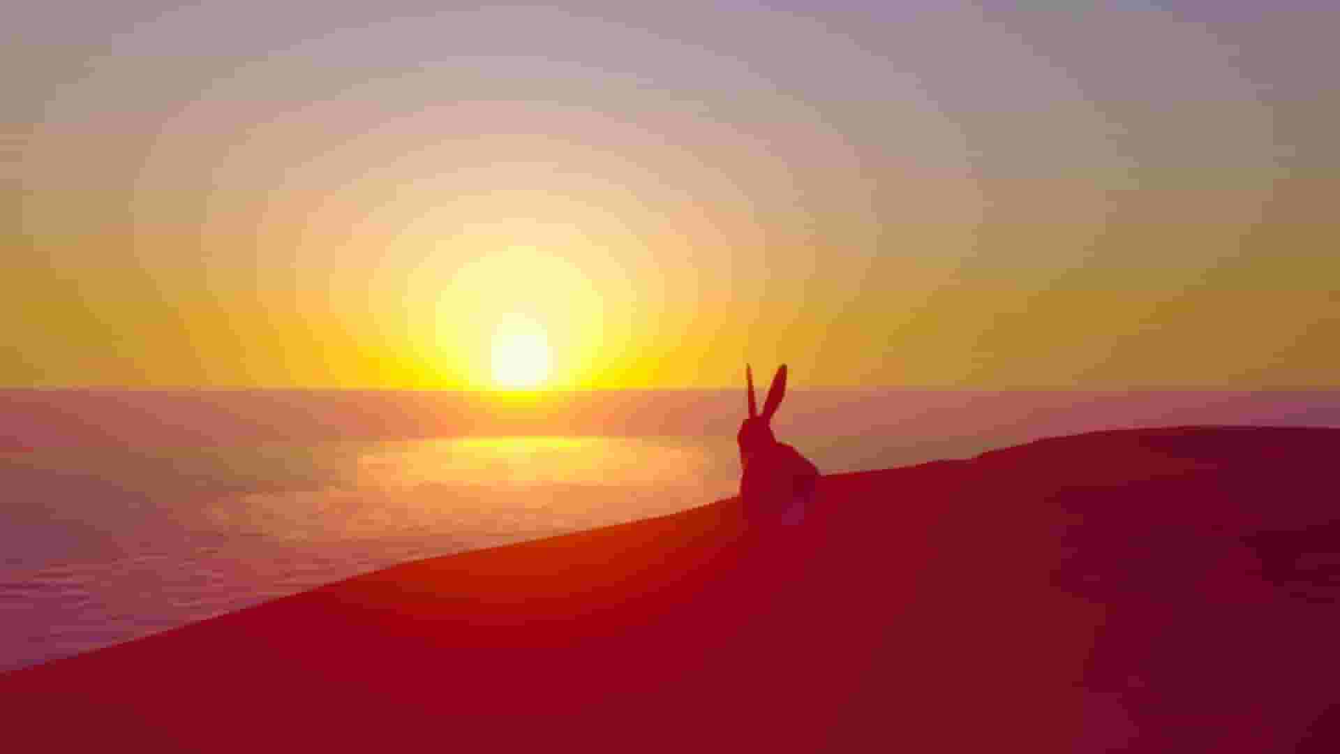 Rabbit Simulator screenshot thumbnail screenshot 3