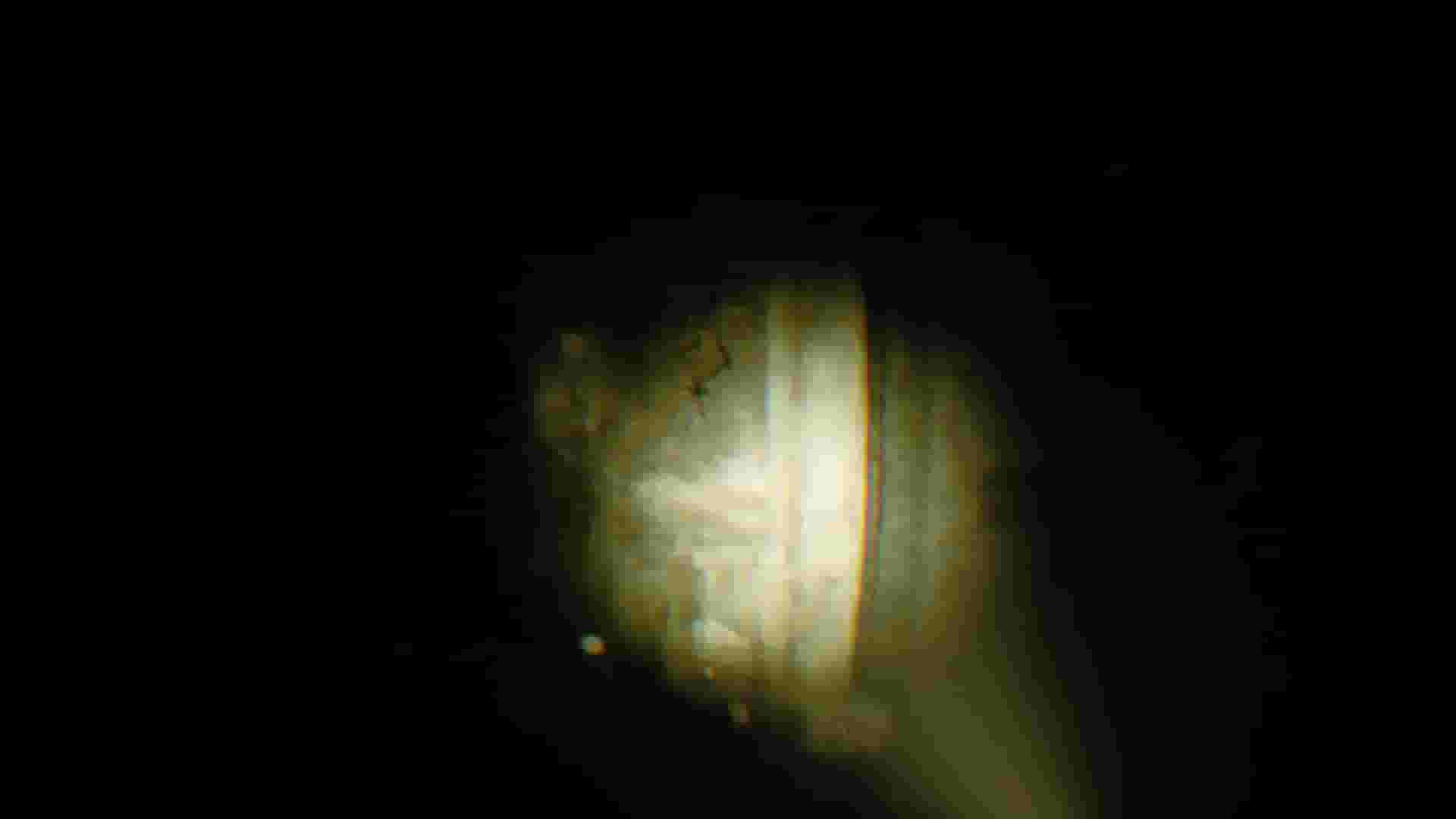 REC: Beyond The Lens screenshot thumbnail screenshot 4