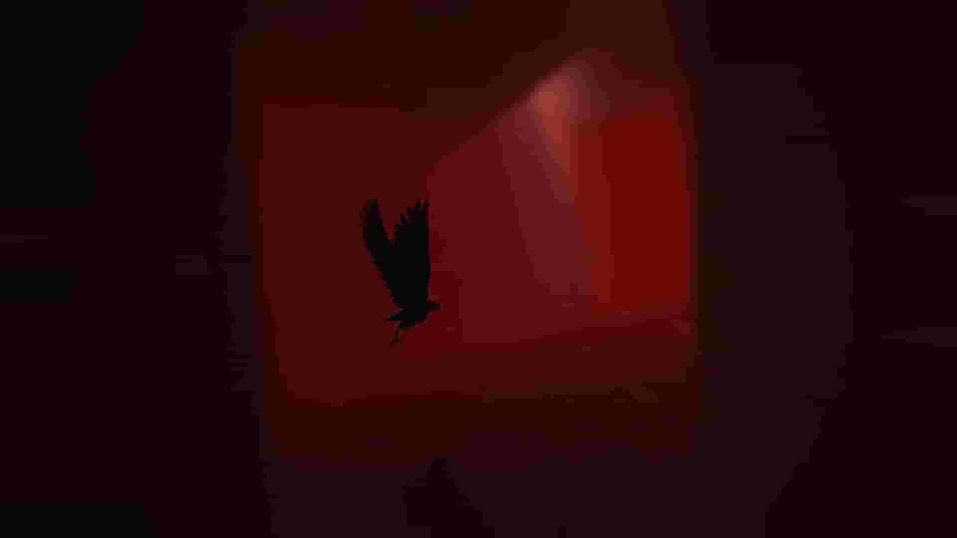 Rise of Insanity screenshot thumbnail screenshot 10