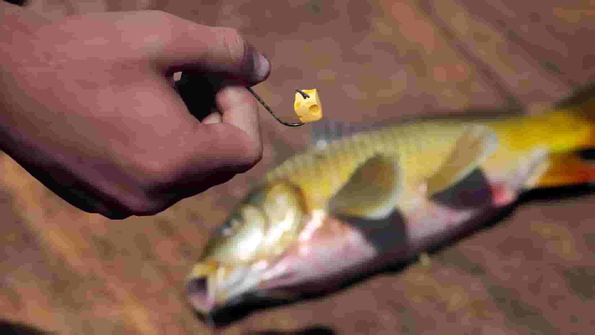 SCUM screenshot thumbnail screenshot 10