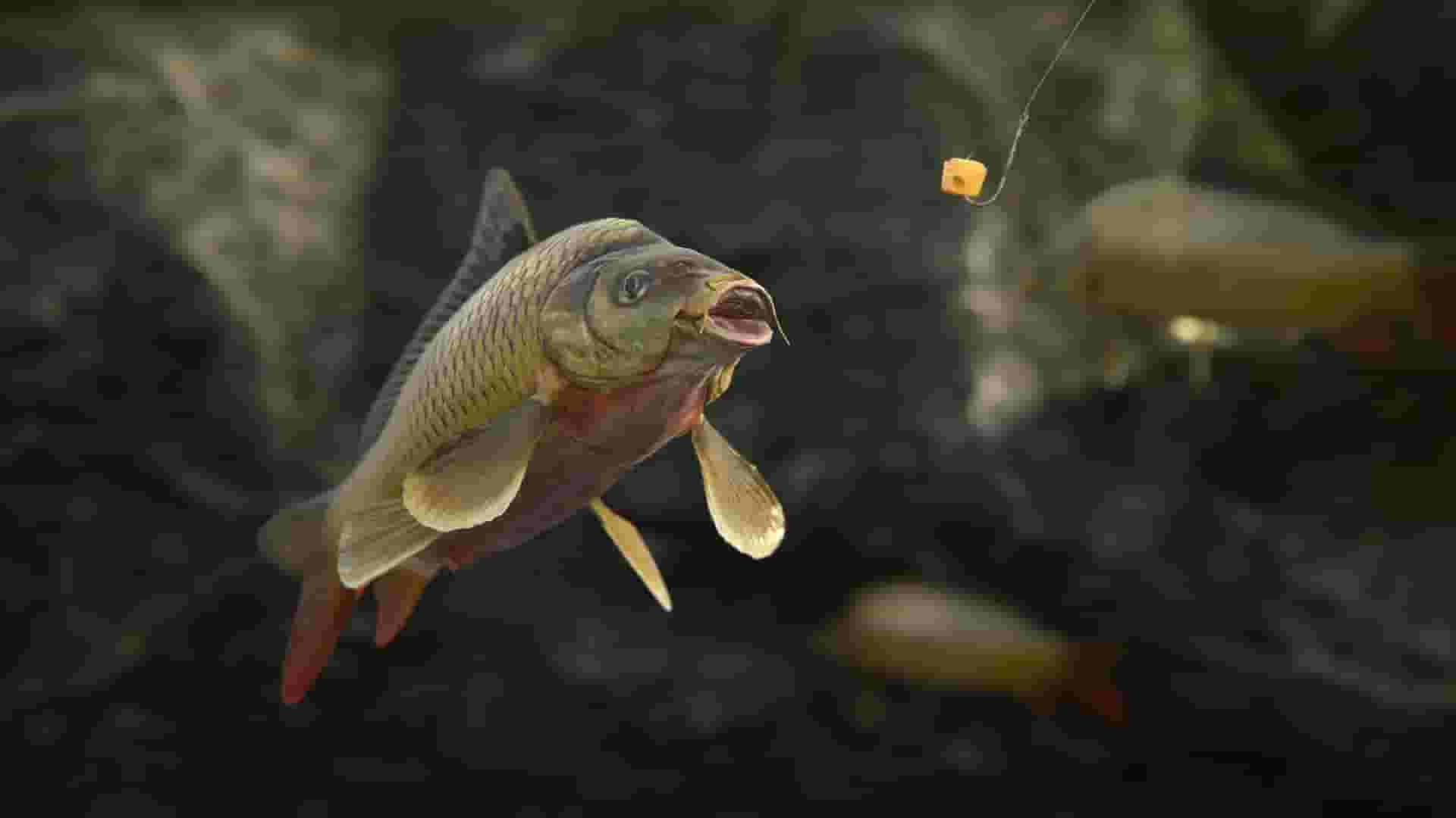 SCUM screenshot thumbnail screenshot 9