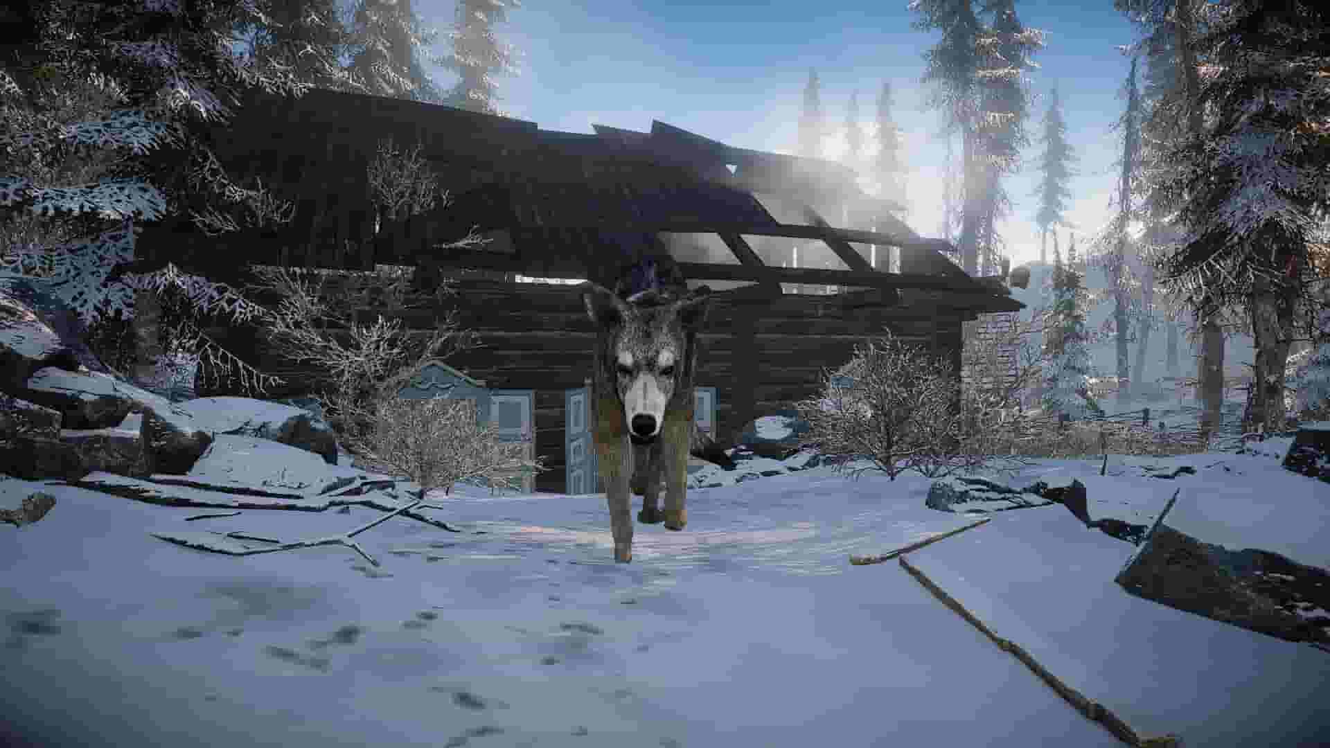 Short Snow screenshot thumbnail screenshot 27