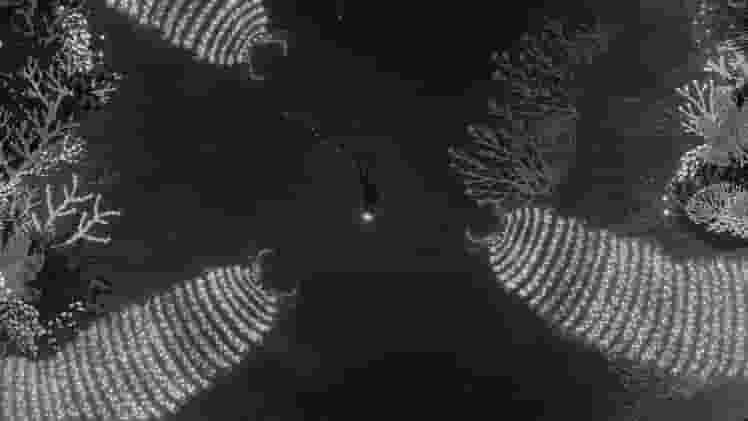 SILT screenshot thumbnail screenshot 1