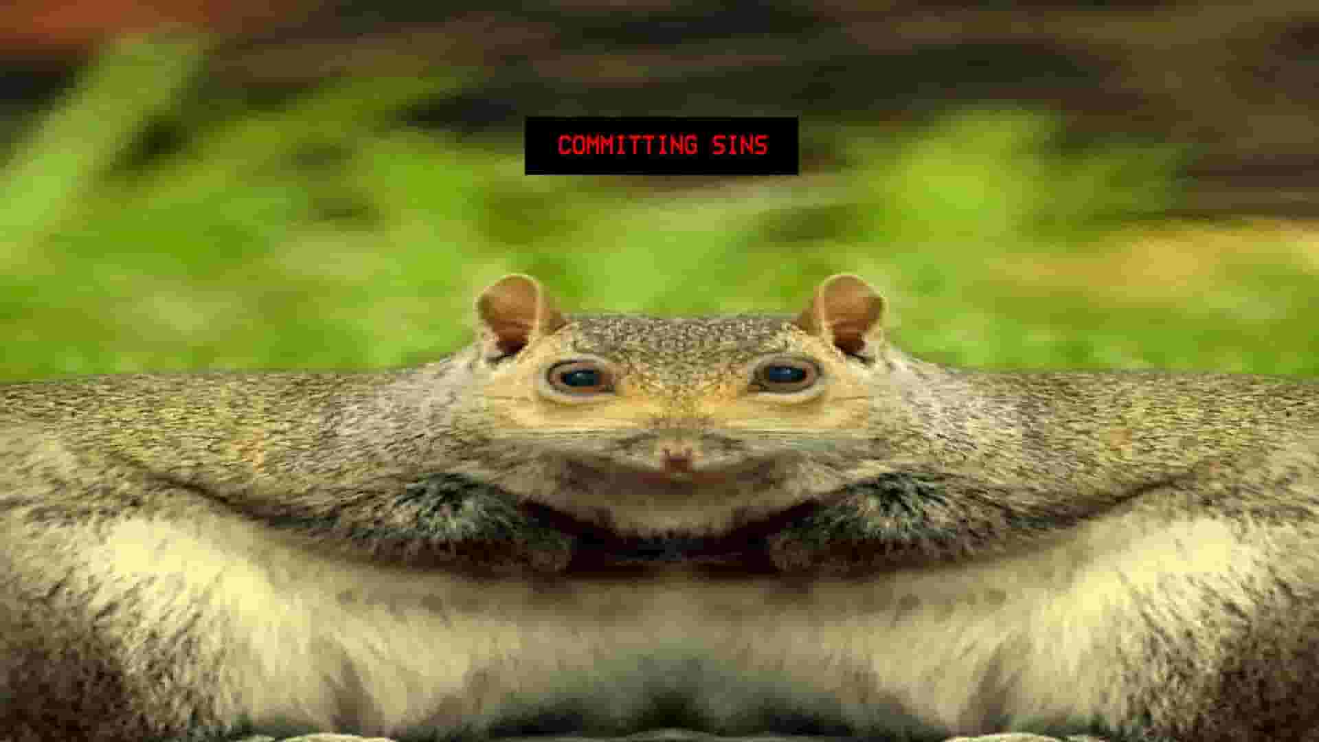 Squirrel Stapler screenshot thumbnail screenshot 6