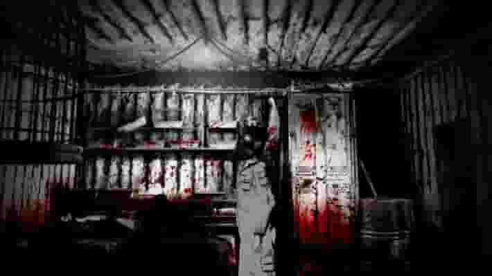 The Cat Lady screenshot thumbnail screenshot 5