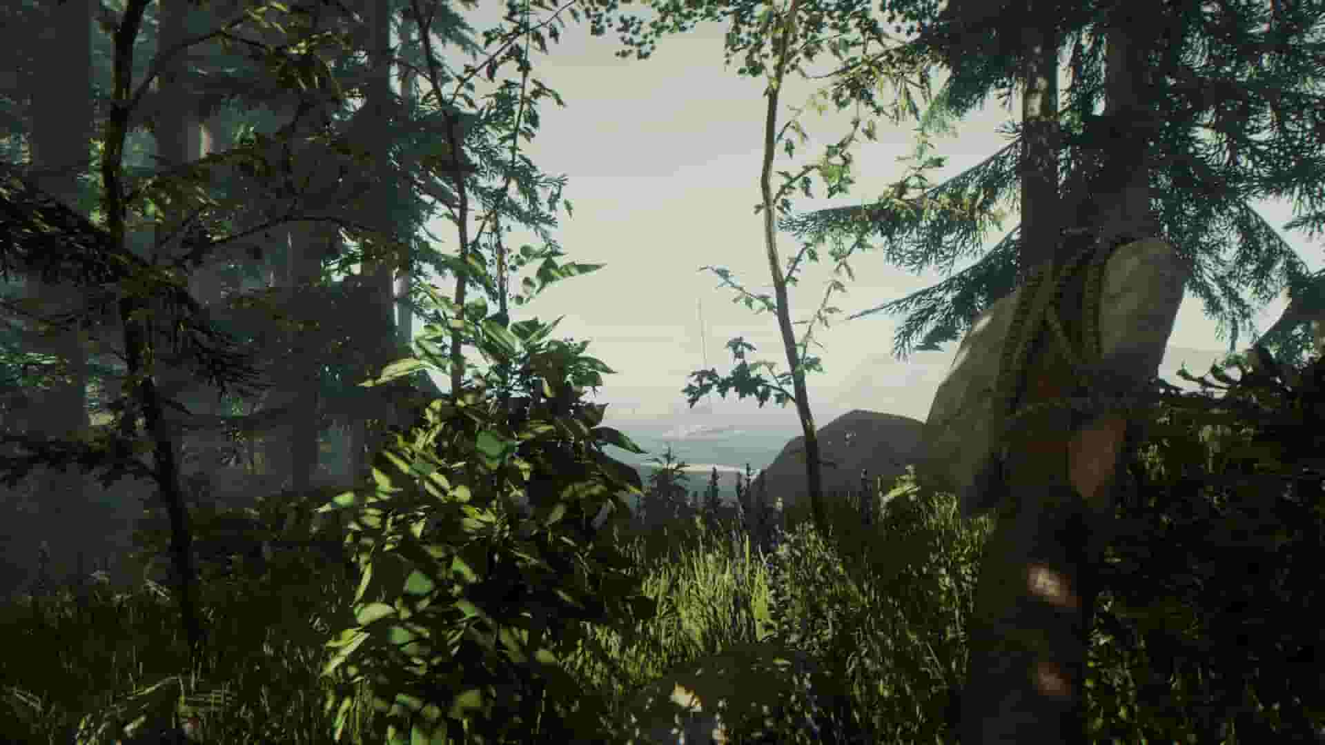 The Forest screenshot thumbnail screenshot 3