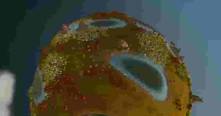 The Universim screenshot thumbnail screenshot 2